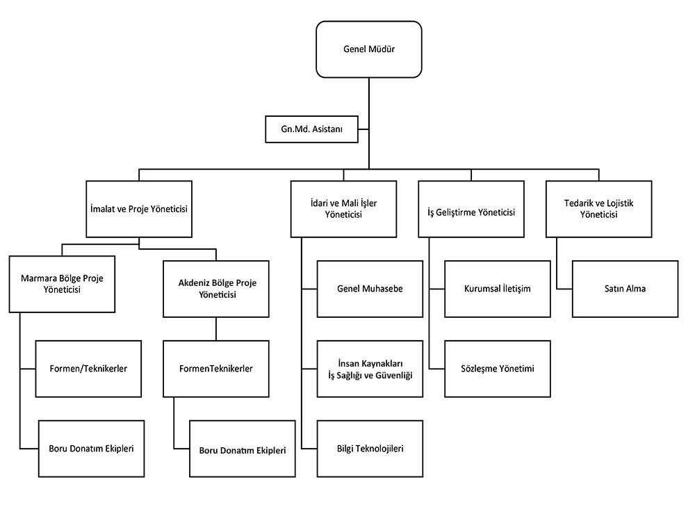 organizasyon