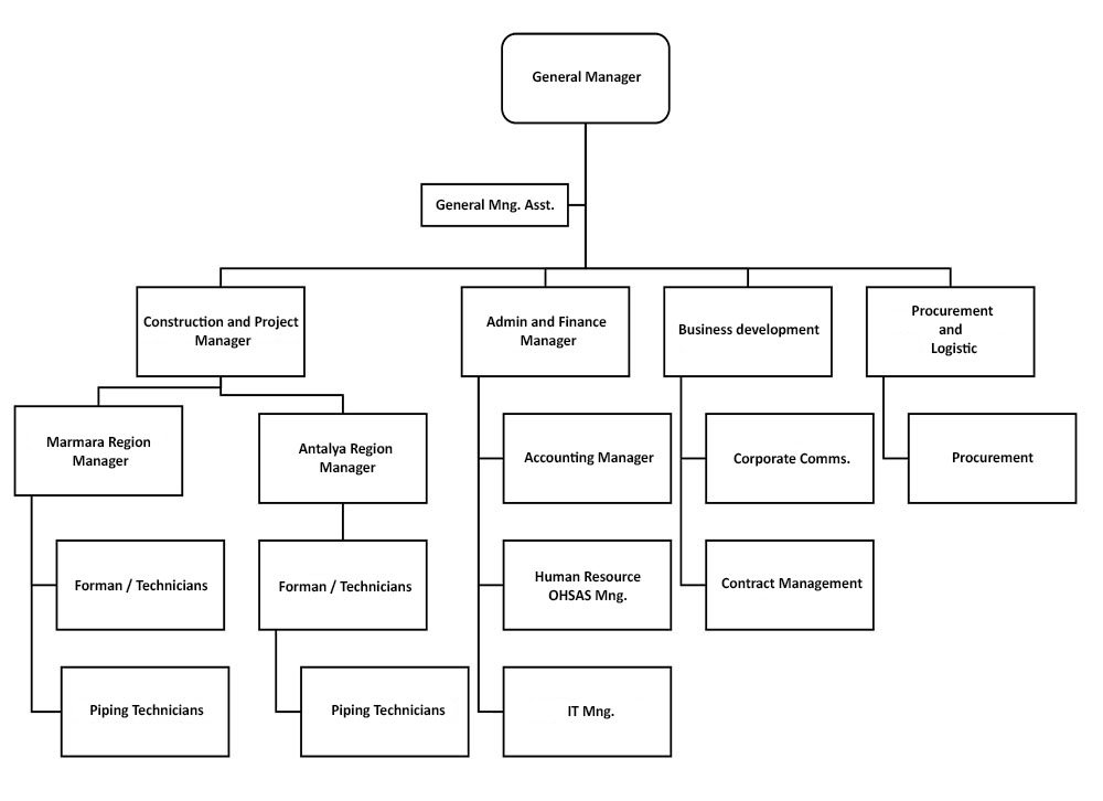 organization